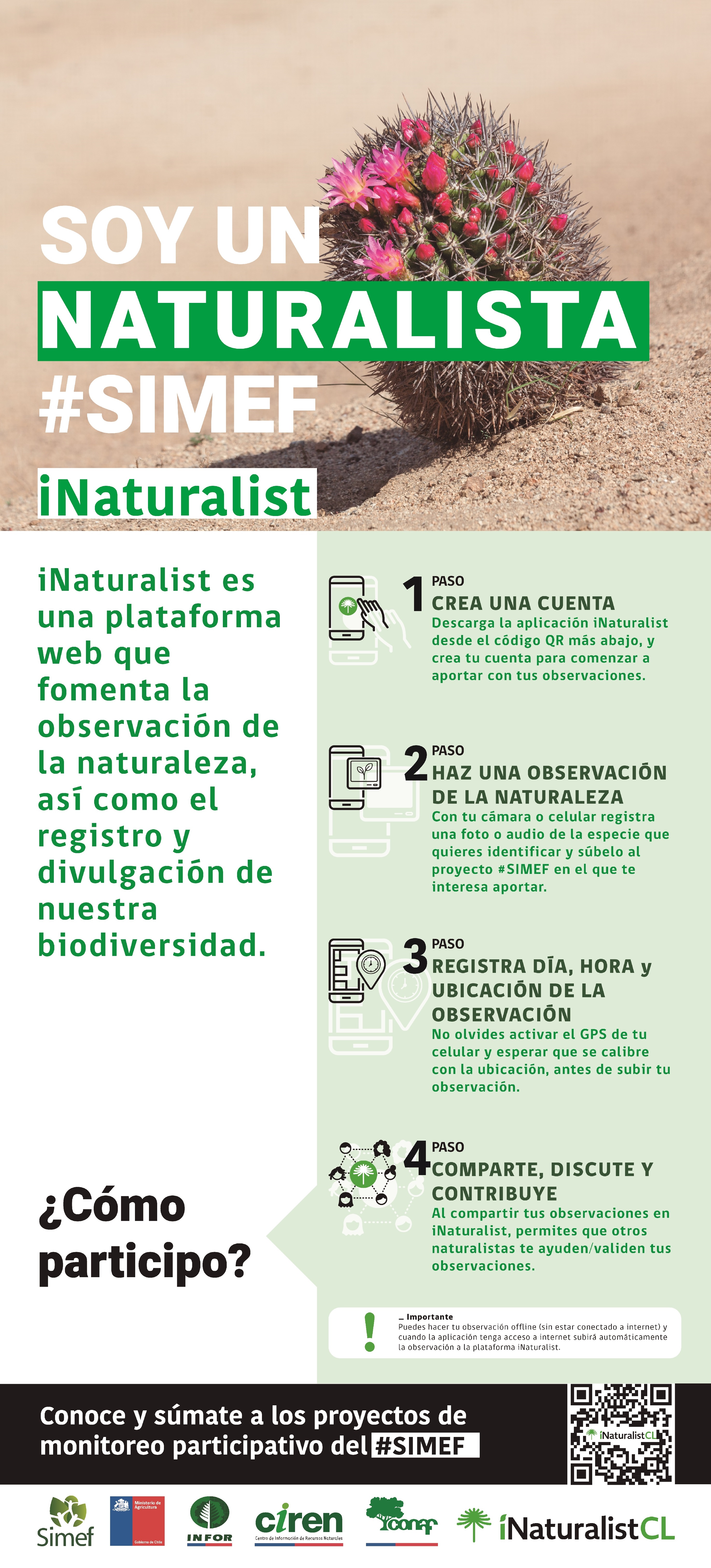 ¿Comó ser un naturalista?